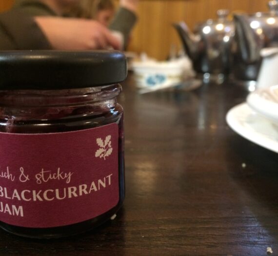 Top Family day out at National Trust, Knightshayes, Tiverton, Devon