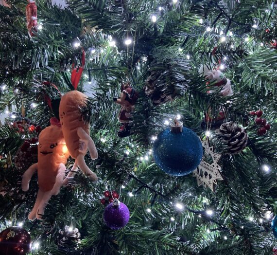 Embracing the magic of Christmas